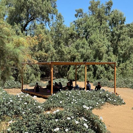 Rancho Dominique Valle De Guadalupe Kültér fotó