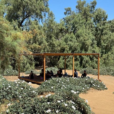 Rancho Dominique Valle De Guadalupe Villa Kültér fotó