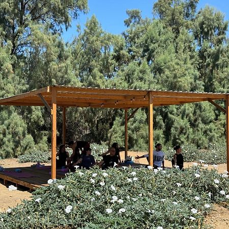 Rancho Dominique Valle De Guadalupe Villa Kültér fotó