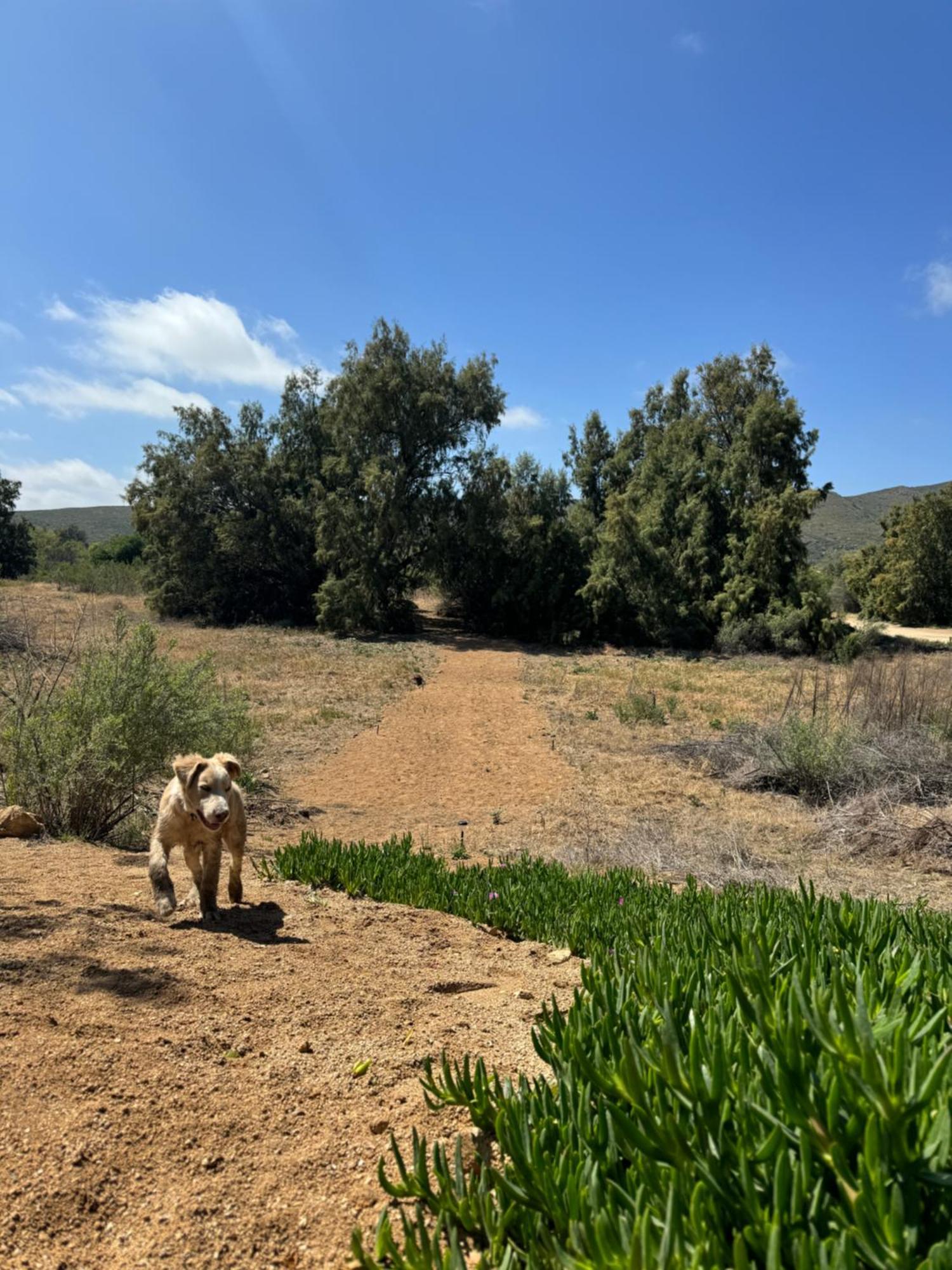 Rancho Dominique Valle De Guadalupe Kültér fotó