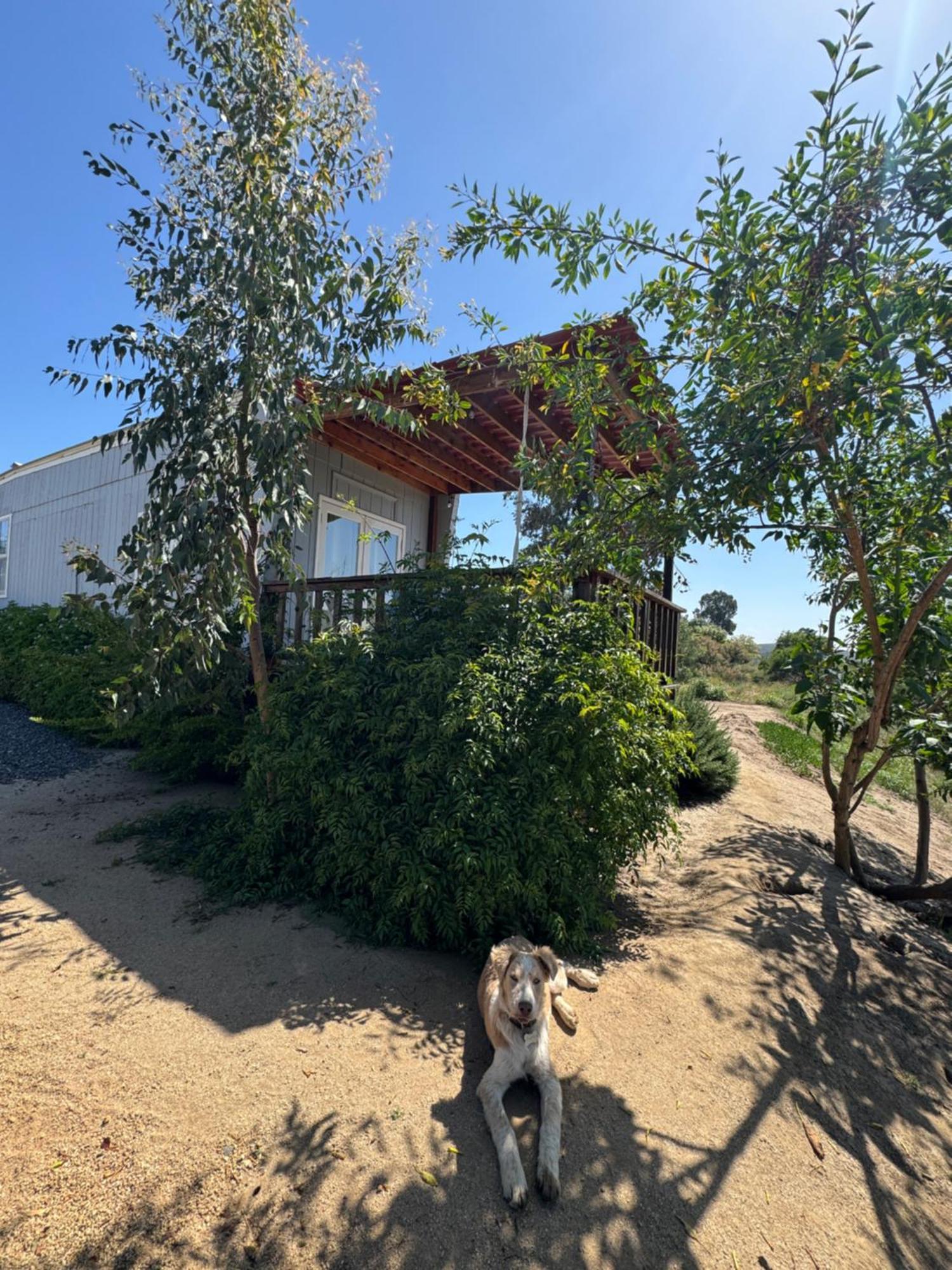 Rancho Dominique Valle De Guadalupe Kültér fotó