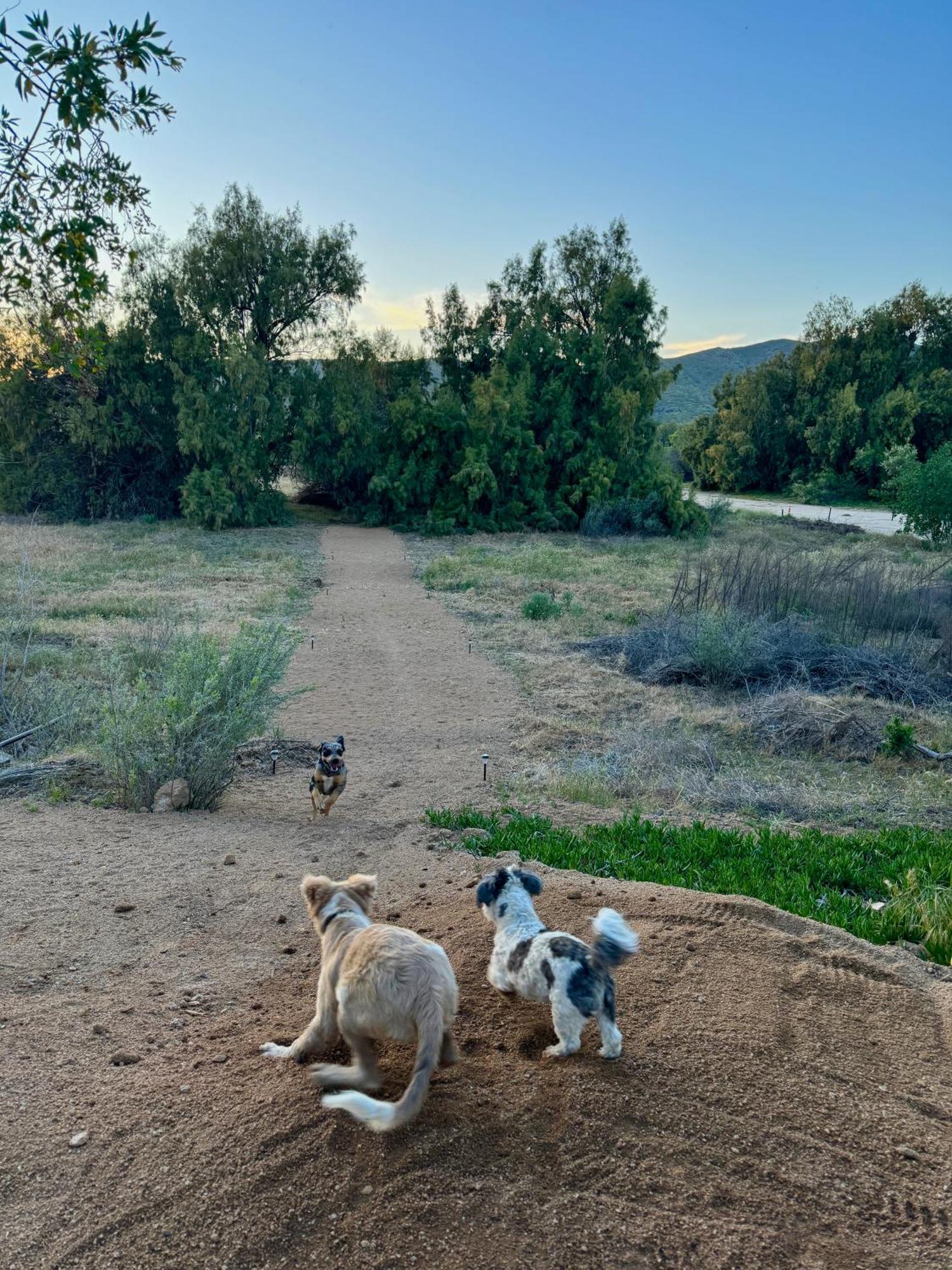 Rancho Dominique Valle De Guadalupe Villa Kültér fotó