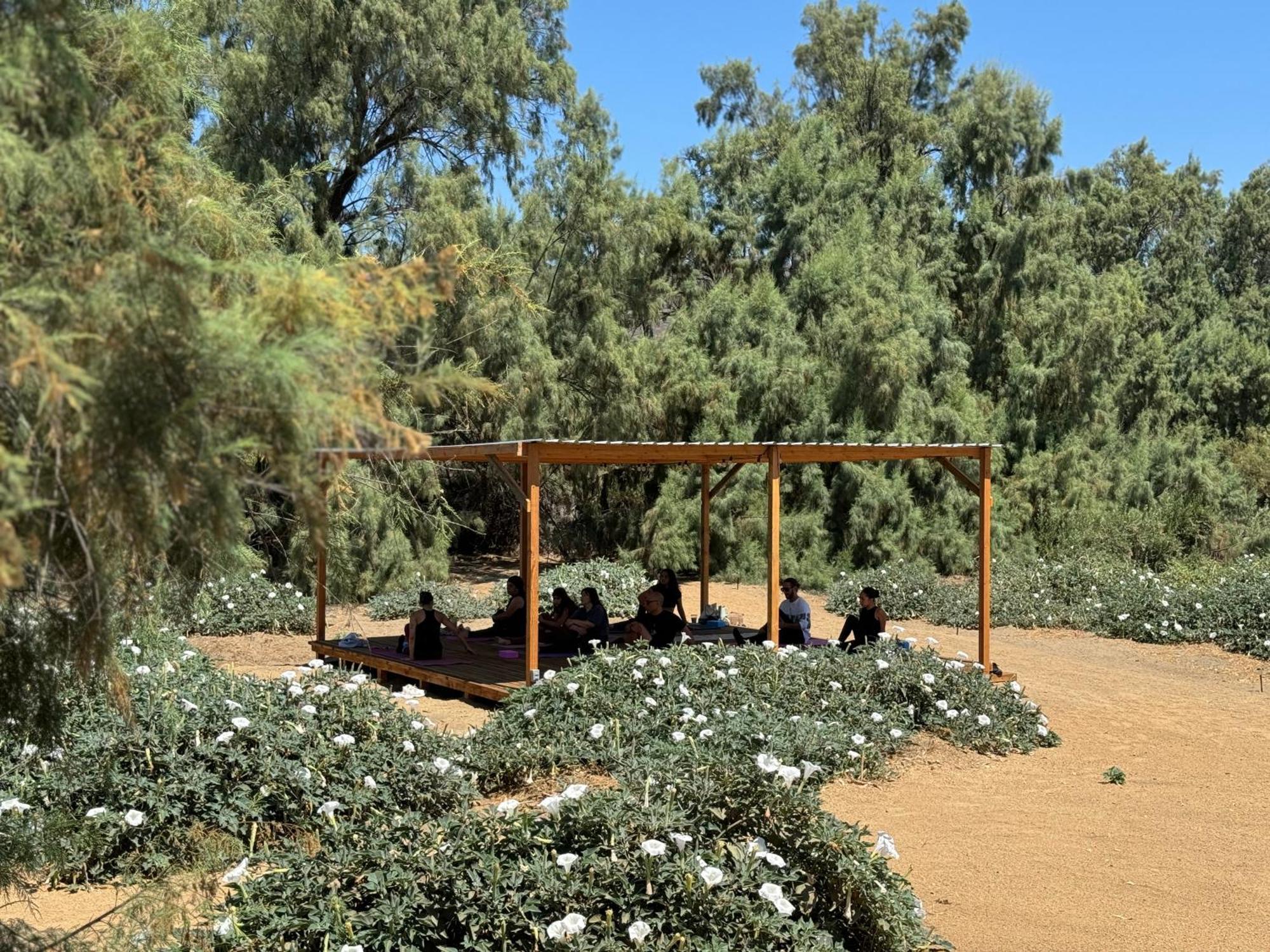 Rancho Dominique Valle De Guadalupe Villa Kültér fotó